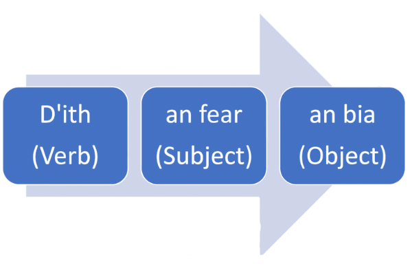 Irish sentence structure